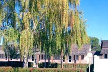 Hotel Best Western Pioneer 