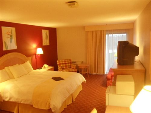 Hotel Econo Lodge  | Middletown | Rhode Island | United States 10