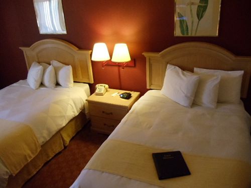 Hotel Econo Lodge  | Middletown | Rhode Island | United States 13