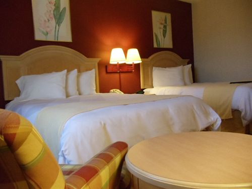 Hotel Econo Lodge  | Middletown | Rhode Island | United States 15