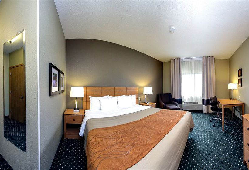 Hotel Comfort Inn  | Moline | Illinois | United States 4