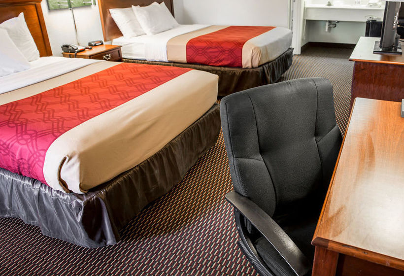 Hotel Econo Lodge  | Morehead City | North Carolina | United States 16