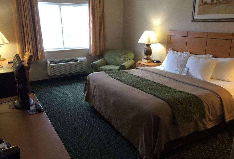 Hotel Comfort Inn  | Onalaska | Wisconsin | United States 5