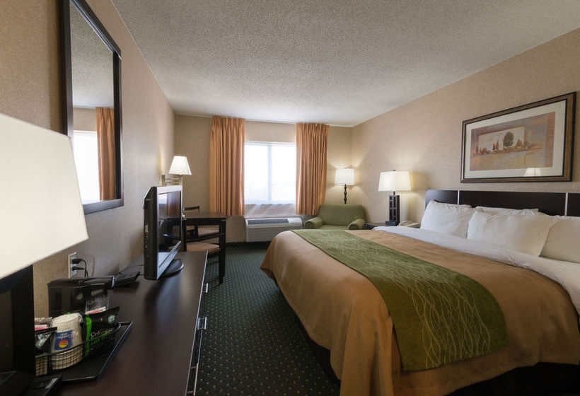 Hotel Comfort Inn  | Onalaska | Wisconsin | United States 8