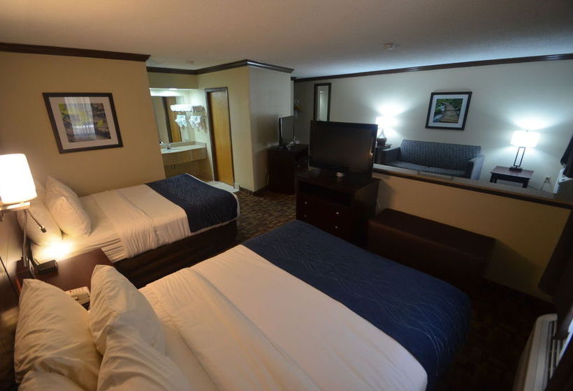 Hotel Comfort Inn & Suites Quakertown  | Quakertown | Pennsylvania | United States 11