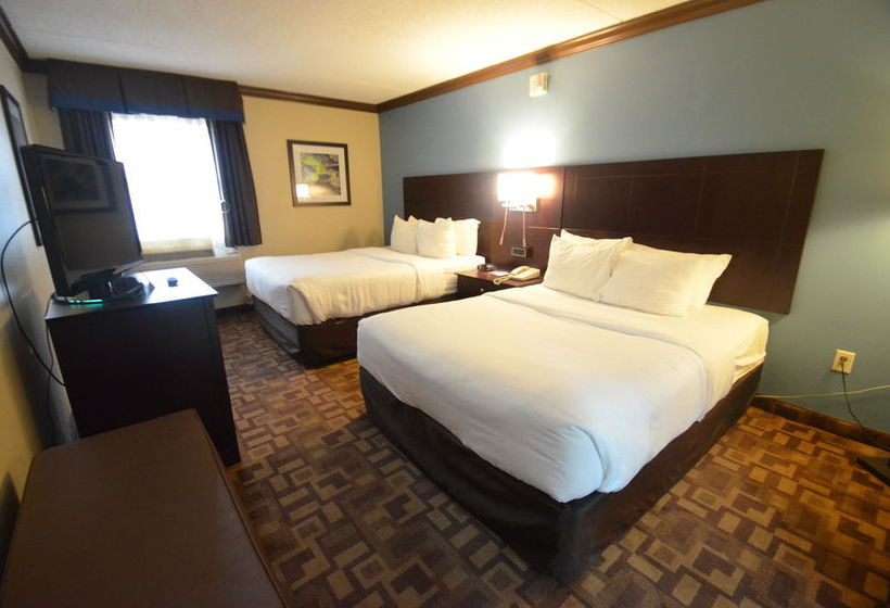 Hotel Comfort Inn & Suites Quakertown  | Quakertown | Pennsylvania | United States 18