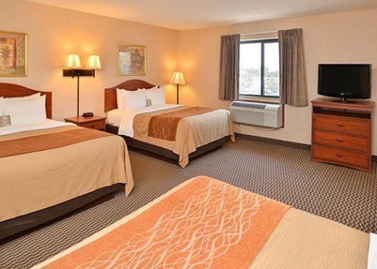 Hotel Comfort Inn I-90  | Rapid City | South Dakota | United States 12