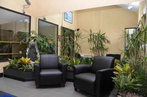 Hotel Best Western Rockland  | Rockland | Massachusetts | United States 19