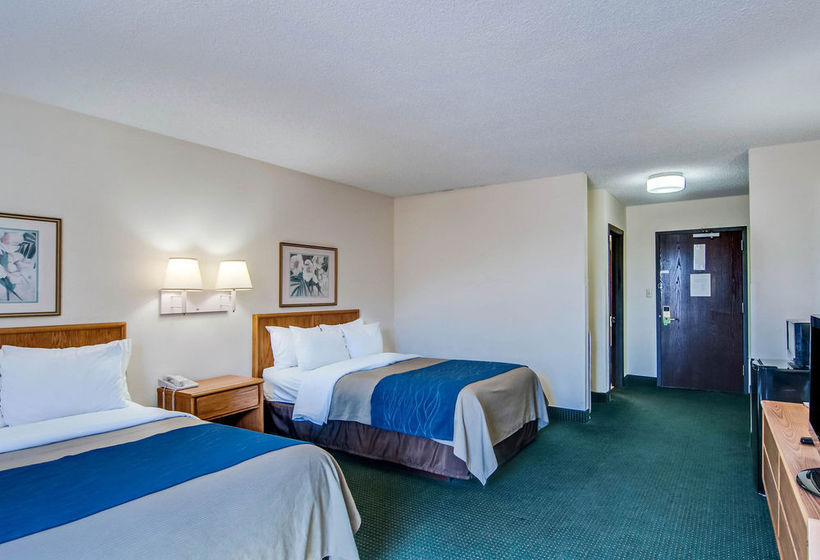 Hotel Comfort Inn Rocky Mount  | Rocky Mount | Virginia | United States 6