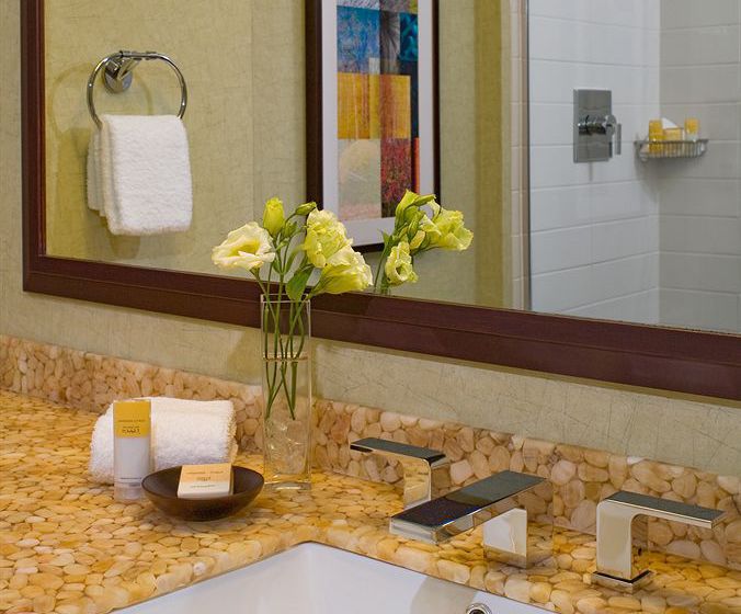 Hotel Hyatt Regency Schaumburg Chicago  | Schaumburg | Illinois | United States 2
