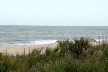 Ocean Song  | Tybee Island | Georgia | United States 7