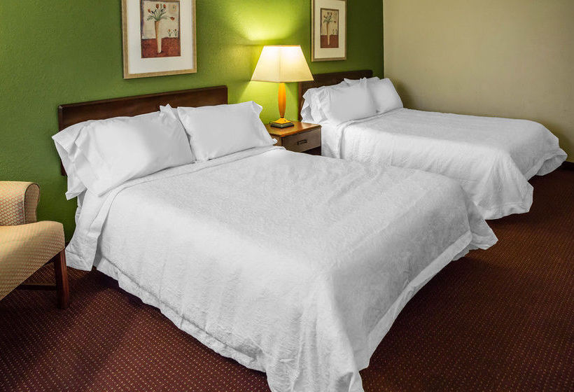 Hotel Econo Lodge  | Washington | North Carolina | United States 14