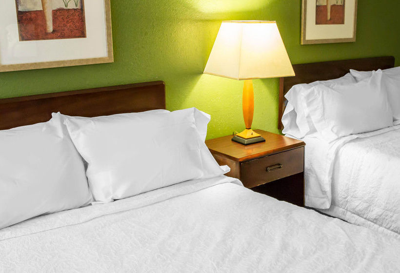 Hotel Econo Lodge  | Washington | North Carolina | United States 16