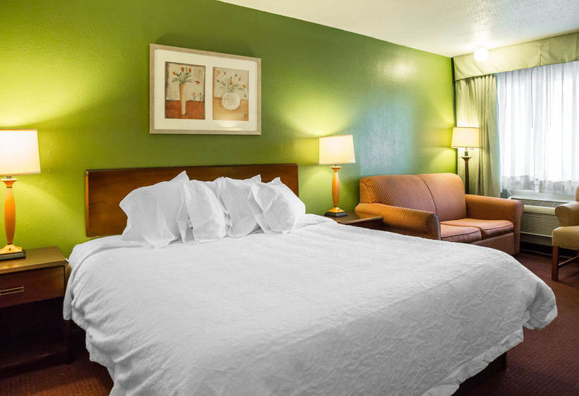 Hotel Econo Lodge  | Washington | North Carolina | United States 20