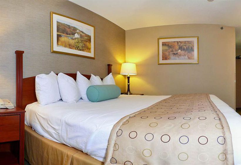 Hotel Best Western Airport Inn  | Moline | Illinois | United States 19