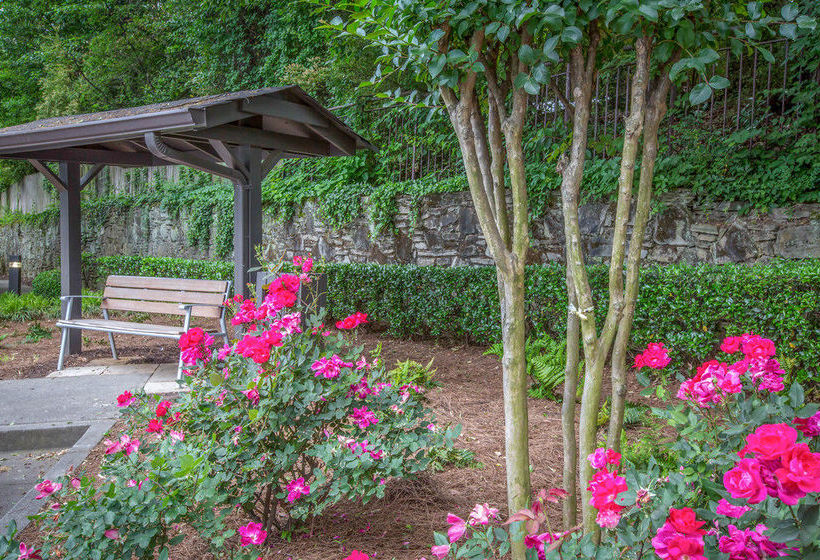 Hotel Quality Suites Buckhead Village  | Atlanta | Georgia | United States 15