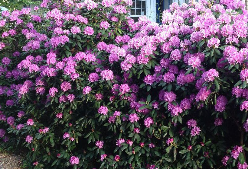 Hotel 1900 Inn On Montford  | Asheville | North Carolina | United States 10