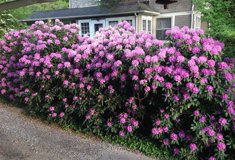 Hotel 1900 Inn On Montford  | Asheville | North Carolina | United States 7