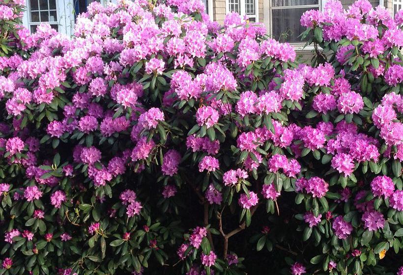 Hotel 1900 Inn On Montford  | Asheville | North Carolina | United States 8