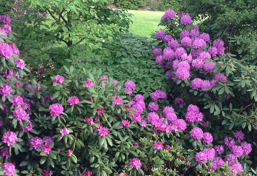 Hotel 1900 Inn On Montford  | Asheville | North Carolina | United States 9