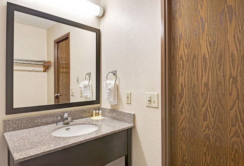 Hotel Days Inn Biltmore East  | Asheville | North Carolina | United States 15