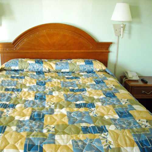 Whispering Pines Motel  | Asheville | North Carolina | United States 4