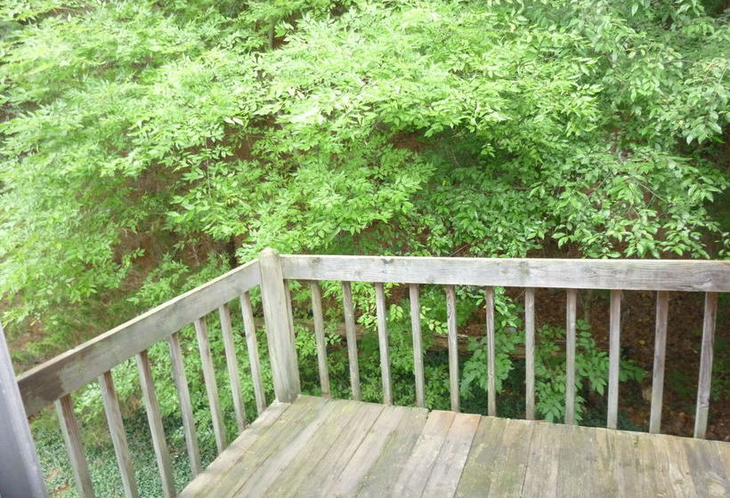 Hotel InnTown Chapel Hill  | Chapel Hill | North Carolina | United States 12