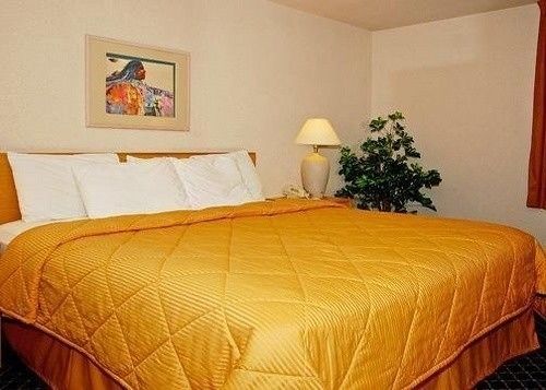 Hotel Comfort Inn North   | North las Vegas | Nevada | United States 16