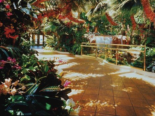 Hôtel Golden Nugget Laughlin  | Laughlin | Nevada | Hôtels aux États-Unis 15