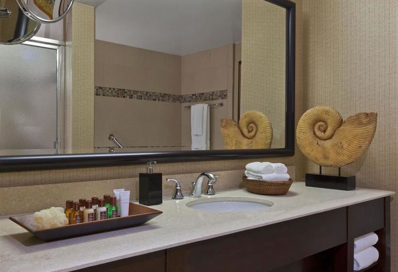 Sheraton Dallas Hotel  | Dallas | Texas | United States 17