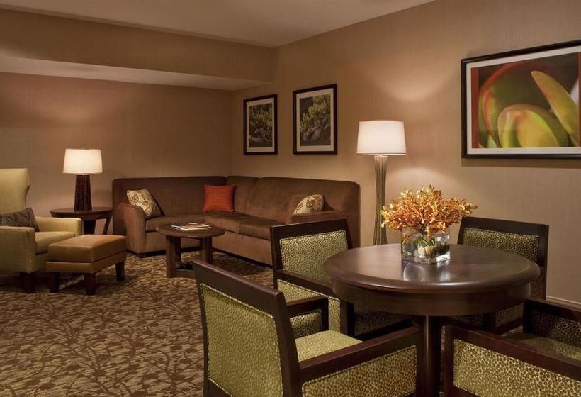 Sheraton Dallas Hotel  | Dallas | Texas | United States 8