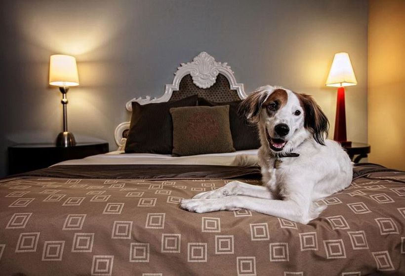 Alexis Hotel Seattle, A Kimpton Hotel  | Seattle | Washington | United States 16