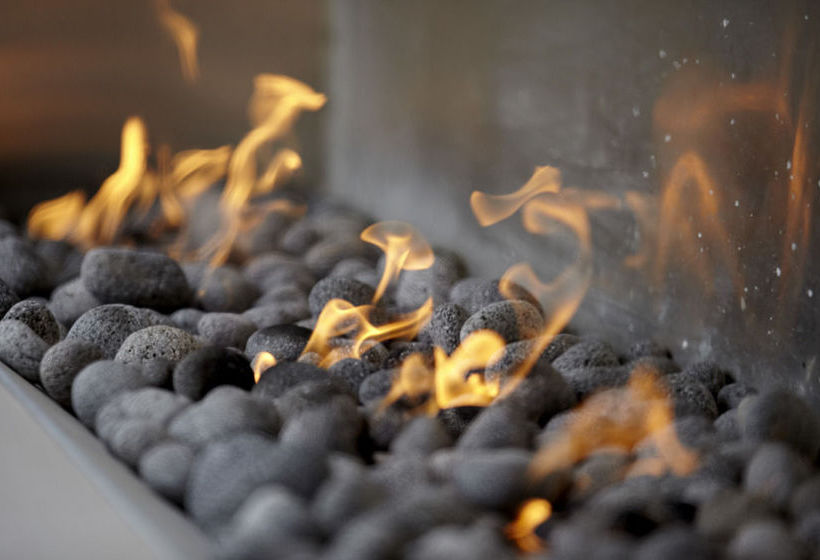 Hotel Hyatt Place Memphis Primacy Parkway  | Memphis | Tennessee | United States 17