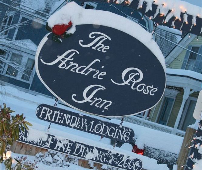 Hotel Andrie Rose Inn 