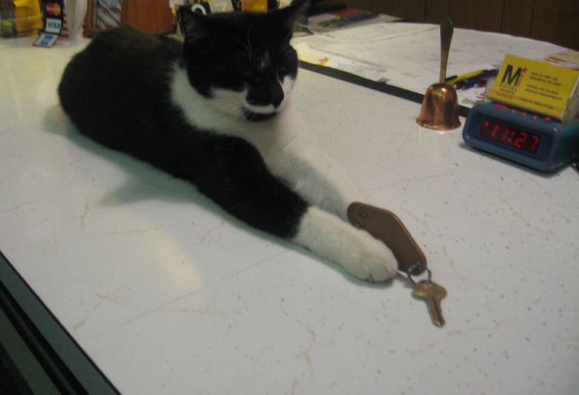 Motel M-Star Hotel Wauseon  | Wauseon | Ohio | Hotel negli Stati Uniti 12