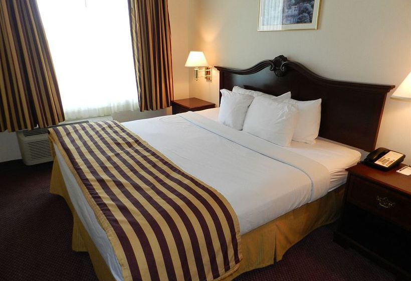 Hotel Ashmore Inn & Suites  | Lubbock | Texas | United States 3