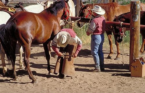 Hotel Aspen Lodge at Estes Park  | Estes Park | Colorado | United States