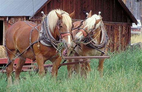 Hotel Aspen Lodge at Estes Park  | Estes Park | Colorado | United States 1