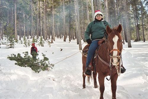 Hotel Aspen Lodge at Estes Park  | Estes Park | Colorado | United States 11