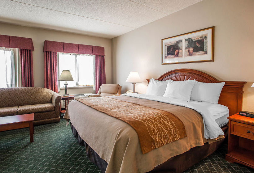 Hotel Comfort Inn   | Festus | Missouri | United States 11