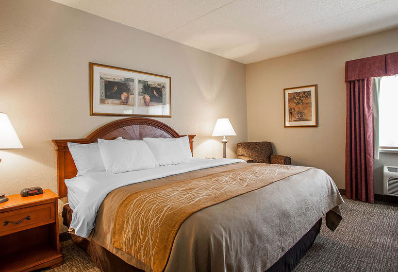 Hotel Comfort Inn   | Festus | Missouri | United States 15