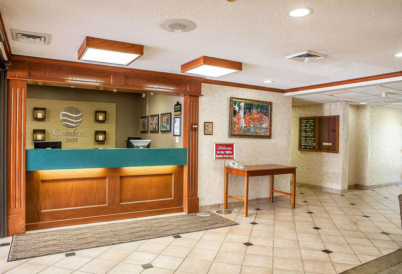 Hotel Comfort Inn   | Festus | Missouri | United States 4
