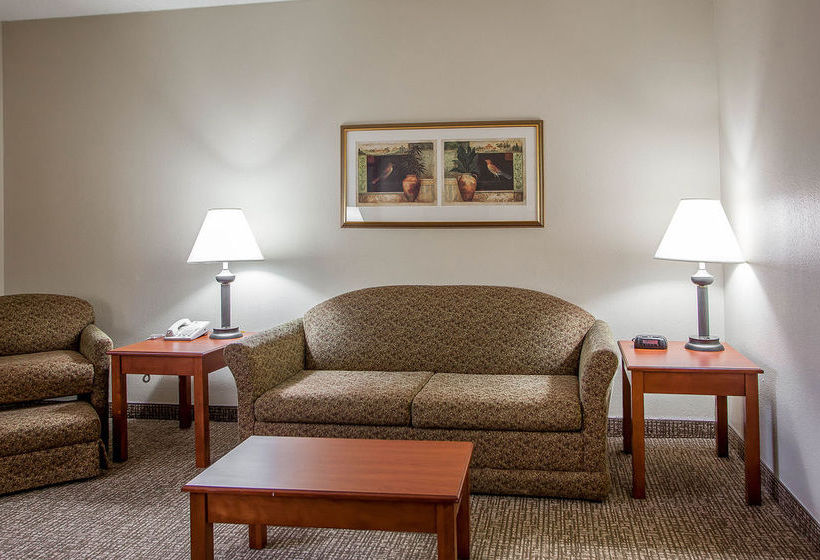 Hotel Comfort Inn   | Festus | Missouri | United States 9