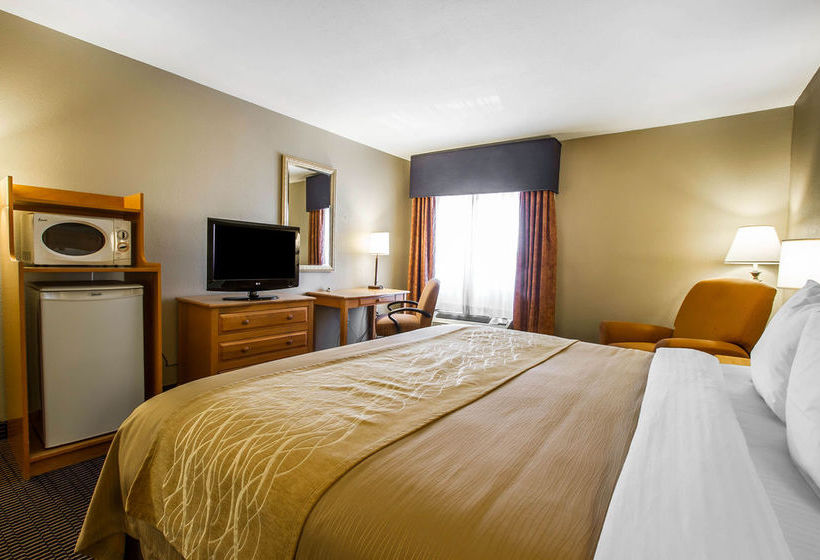 Hotel Comfort Inn Tucson  | Tucson | Arizona | United States 5