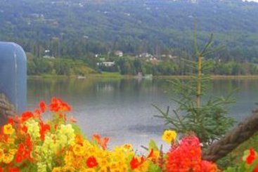 Hotel Beluga Lake Lodge  | Homer | Alaska | Hotel negli Stati Uniti 3