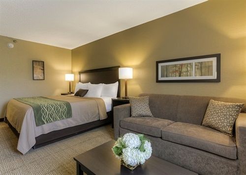 Hotel Holiday Inn Express Harlan  | Harlan | Kentucky | United States 5