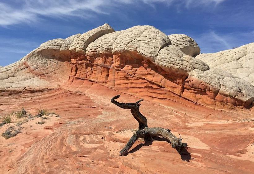 Hotel Best Western View of Lake Powell  | Page | Arizona | Vereinigte Staaten 2