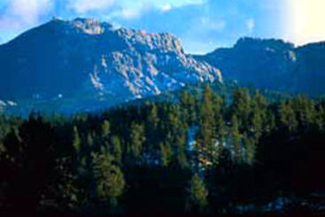 Hotel Best Western Buffalo Ridge Inn  | Custer | South Dakota | United States 16