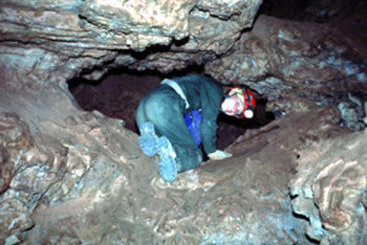 Hotel Best Western Buffalo Ridge Inn  | Custer | South Dakota | United States 20