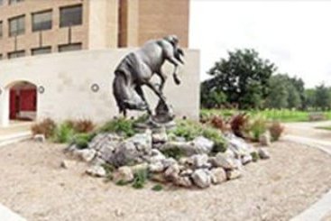 Hotel Best Western Deer Park Inn & Suites